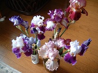 花瓶に挿したジャーマンアイリスの花